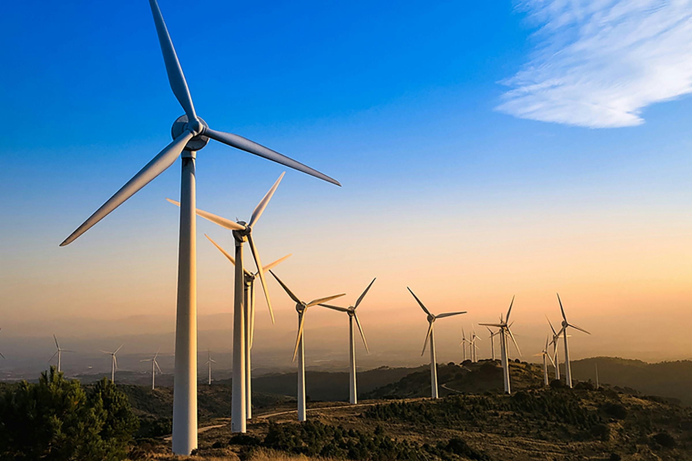 A row of wind turbines in the setting sun